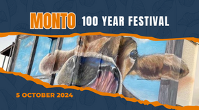 Monto Magic Tourism Action Group