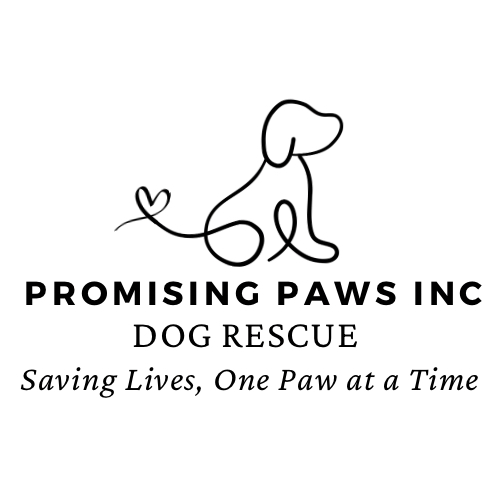 Brave Companion Dog Rescue Inc logo