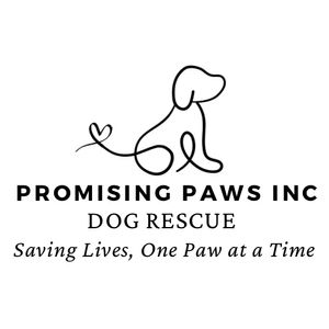 Brave Companion Dog Rescue Inc
