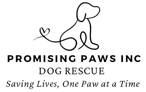 Promising Paws Inc logo