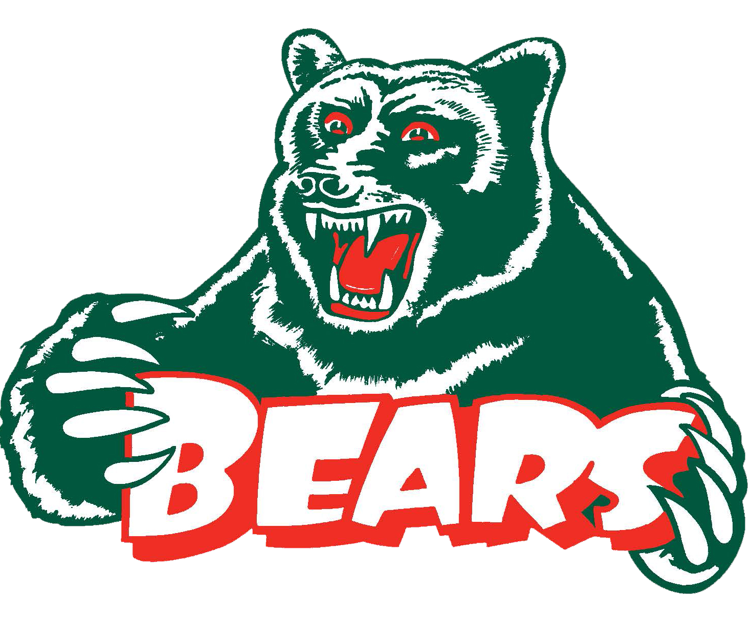 The Basin Football Club Inc logo