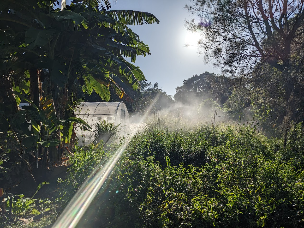 Northey Street City Farm Association Inc
