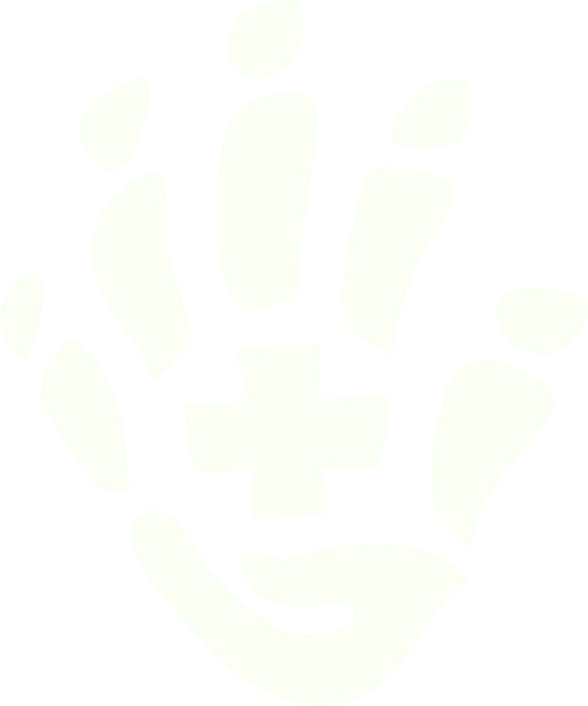 Toowoomba Hospital Foundation