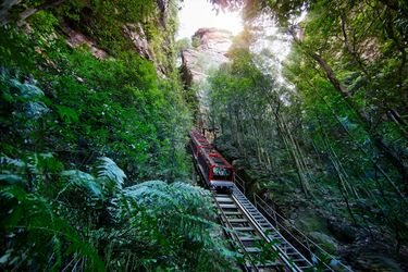 Scenic World - Hero Image