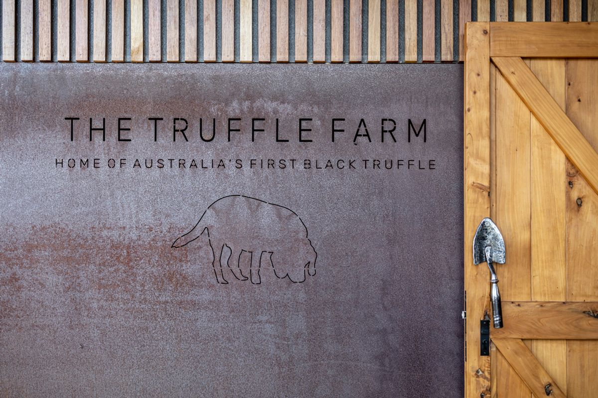 The Truffle Farm Gift Box - Hero image