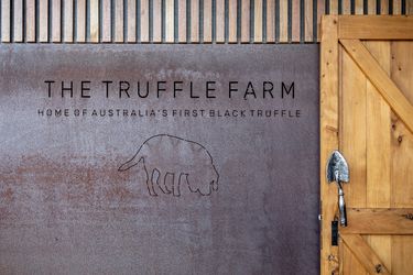 The Truffle Farm Gift Box - Hero Image