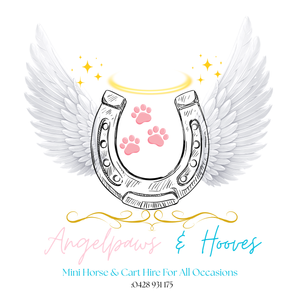 $600  Angelhooves & Paws Voucher (3Hrs Hire of Mini Horses, Cart & Driver) - Hero Image