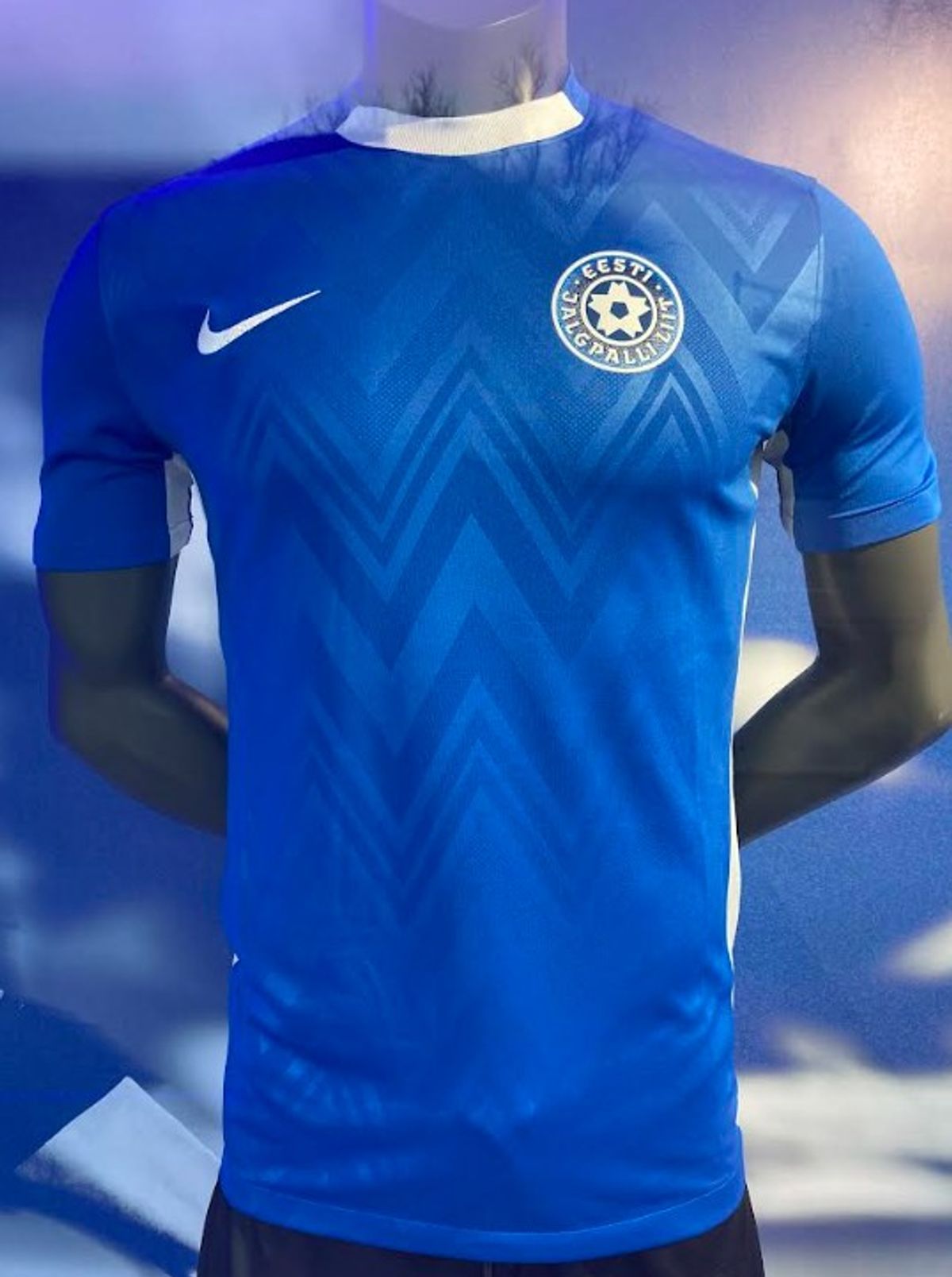 Eesti jalgpalli sark - Hero image