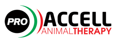 Accell Animal Therapy - Logo