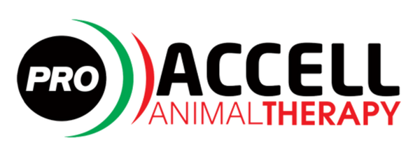 Accell Animal Therapy