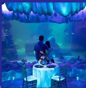 Signature Dining at SEA LIFE Sydney- for 2 11/04/2025 6pm - Hero Image