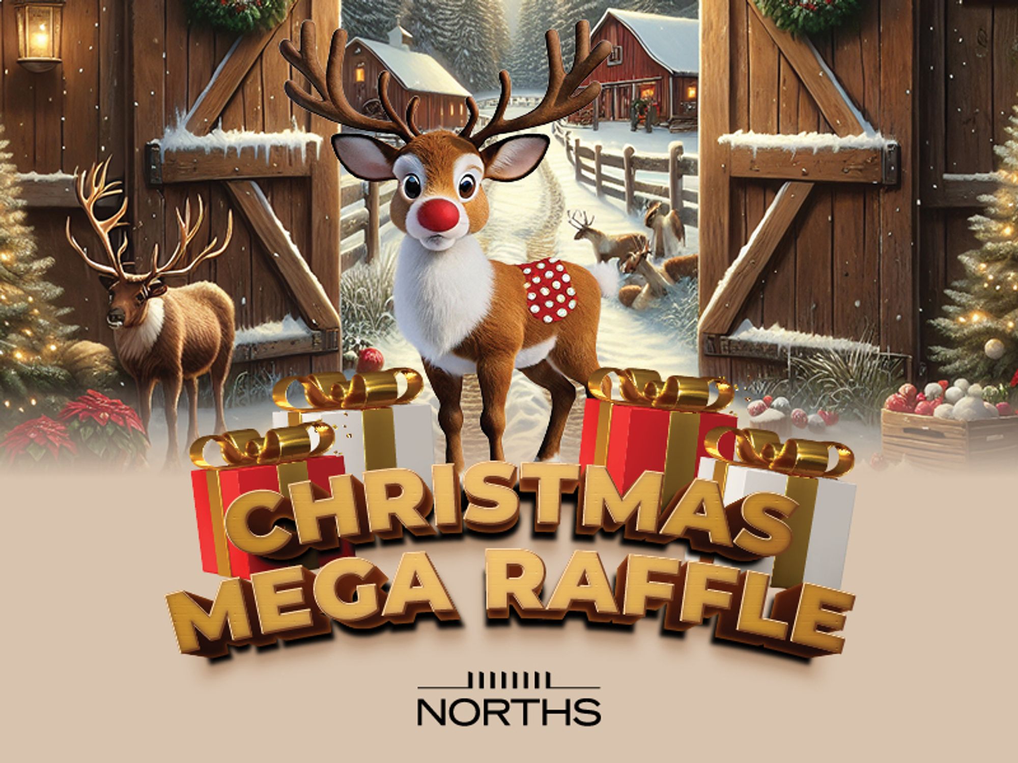 Christmas Mega Raffle 2025