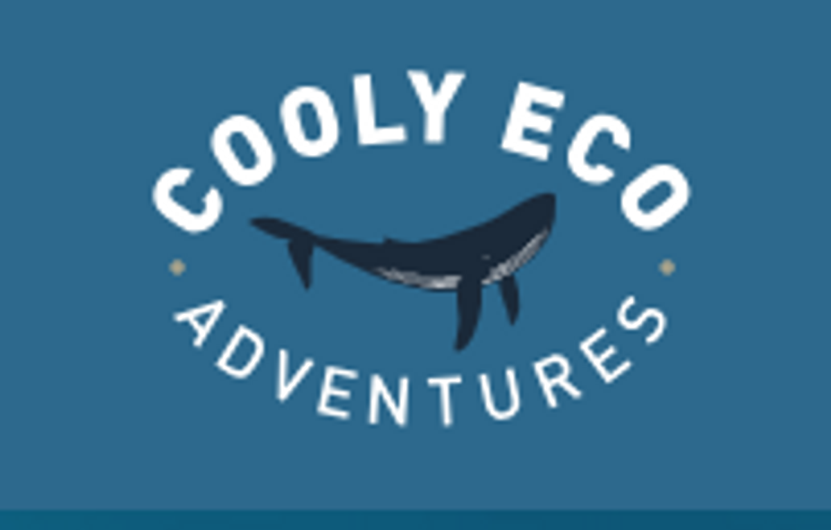 Cooly Eco Adventures - 1x Swim with the Whales Gift Voucher - Hero image
