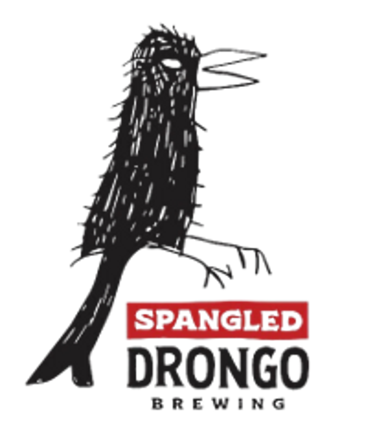 Spangled Drongo - Gift Pack - Hero image