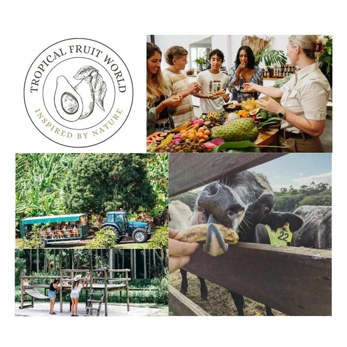 Tropical Fruit World Farm Tour - Family Pass - Hero image