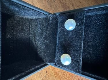 Sterling Silver Freshwater Pearl Stud Earrings Donated by Foster & Co Family Jewellers - Hero Image