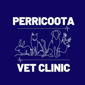 Dog Pamper Hamper from Perricoota Vets - Hero Image