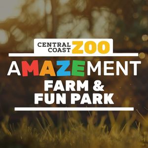 Family pass to Amazement farm and fun park - Hero Image