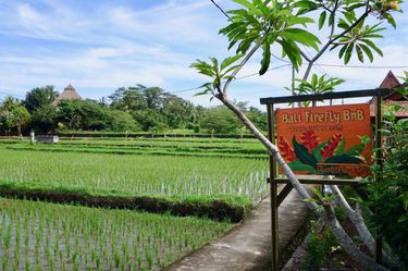 Balinese Holiday in Stunning Firefly Guesthouse - Hero Image