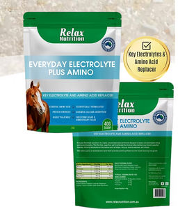 Relax Everyday Electrolyte plus Amino - Hero Image