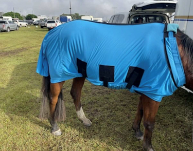 Harlington Rose Horse Onesies - Hero Image