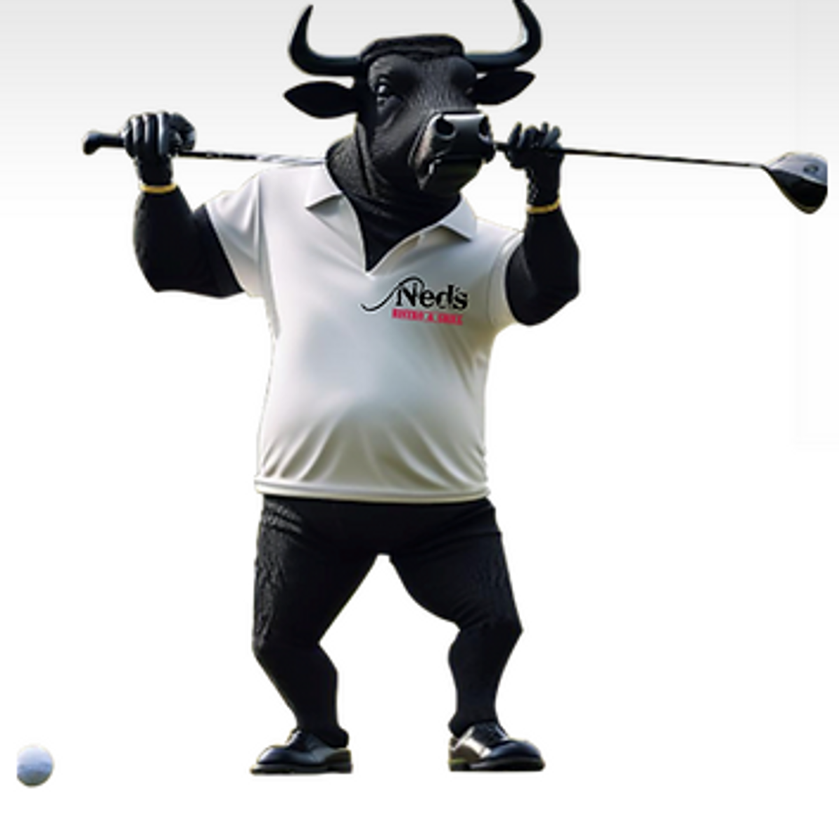 Ned's - Dinner for 4 Adults - Hero image