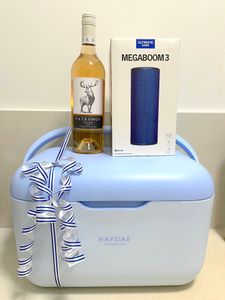 Summer Pack: Haydae 20L Cooler, Wine & Ultimate Megaboom Bluetooth Speaker from Suncorp Bank Emerald - Hero Image