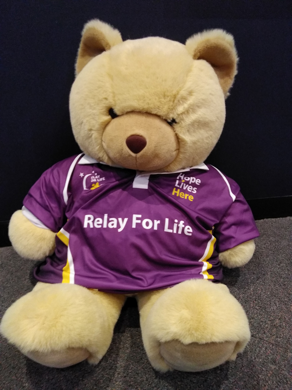 Relay-Ray Bear - Image 1