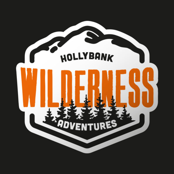 Hollybank Adventure Zipline for 2 - Image 1