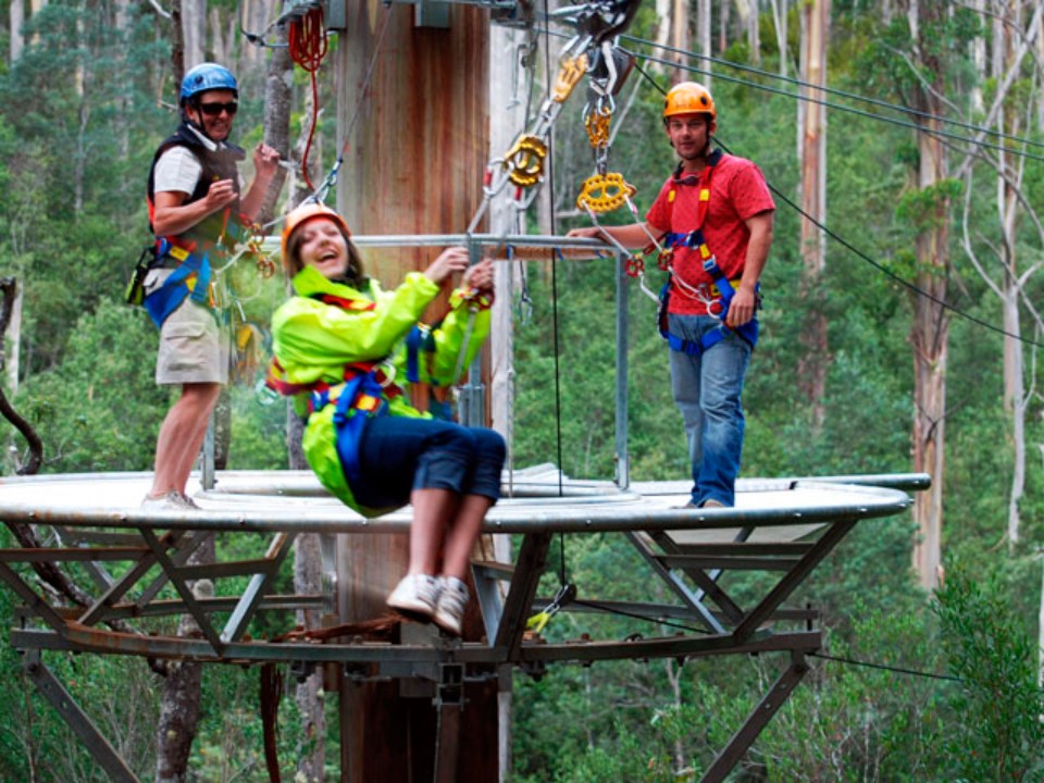 Hollybank Adventure Zipline for 2 - Image 2