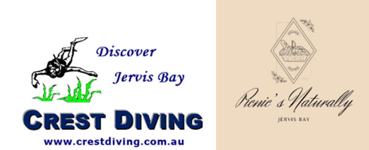 The Bay Discover & Dine Experience - Hero image