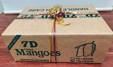 Dried Mango Snacks x25 Packets Donated by Intradco Pty Ltd - Hero Image