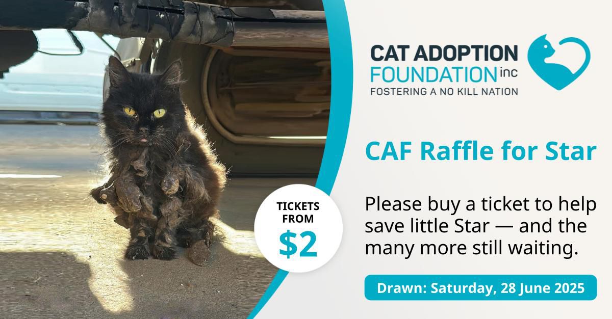 RaffleTix | CAF Raffle for Star