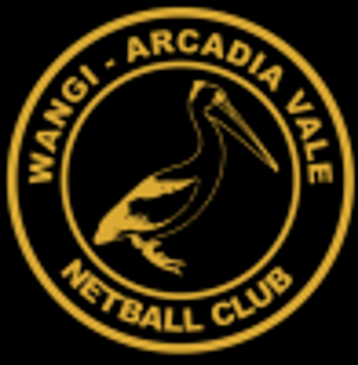 Wangi Arcadia Netball Club Raffle