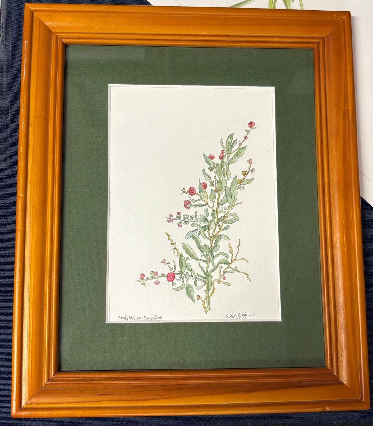 Stage 3 Artist in Residence - Susy Yaghjian (Artwork: Saltbush) - Hero image