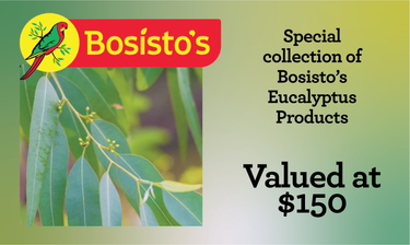 Eucalyptus Products - Hero Image