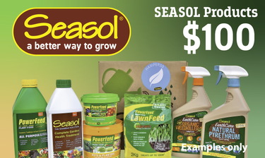 Selection of Seasol Products - Hero Image