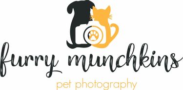 Furry Munchkins Pet Photography - Logo