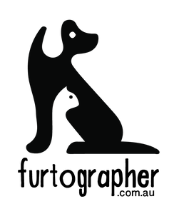 Furtographer - Logo