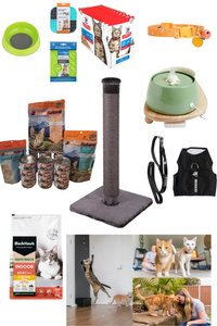 Feline Fun Bundle - Hero Image