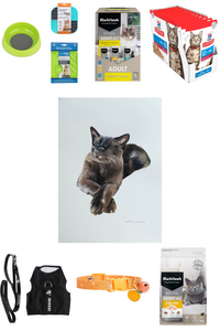 Meow Magic Gift Pack - Hero Image