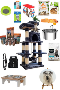 Whisker Wonderland Hamper - Hero Image