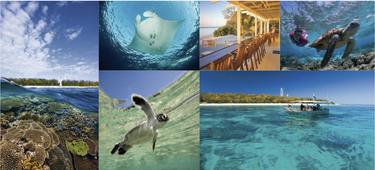 Lady Elliot Island Great Barrier Reef Escape for Two - Hero Image