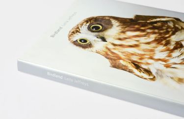 Birdland by Leila Jeffreys - Signed by Author - Hero Image