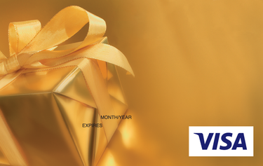 $100 VISA Gift Card - Hero Image