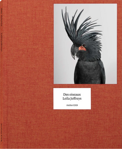 Des Oiseaux by Leila Jeffreys (Hardcover) - Hero Image