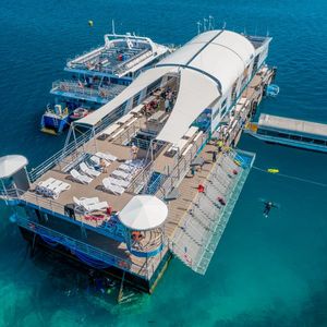 Reef Magic - Hero Image