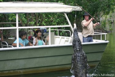 Beaches Meet & Greet - Hero Image