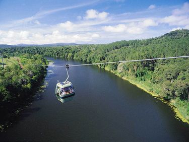 Skyrail Rainforest Cableway - Hero Image