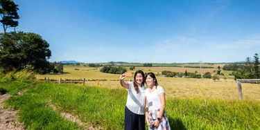 True Blue Tours - Hero Image